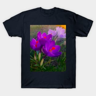 Blue Violet Crocus Flowers Magic Garden T-Shirt